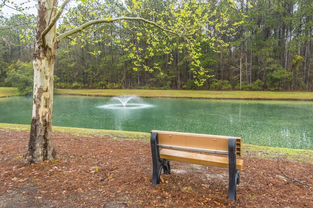 view of water feature with a wooded view