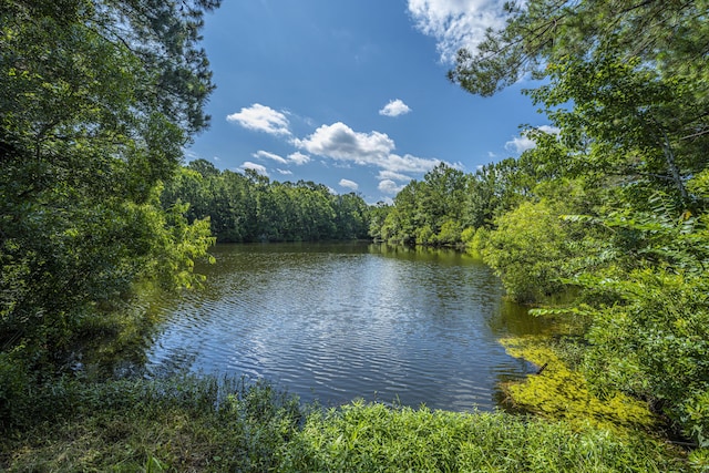 view of water feature with a forest view