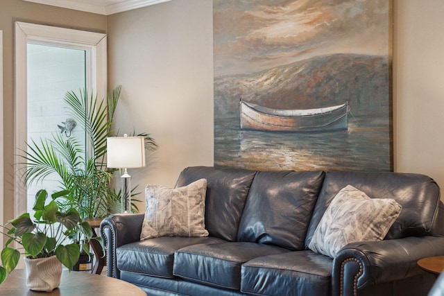 living room featuring crown molding