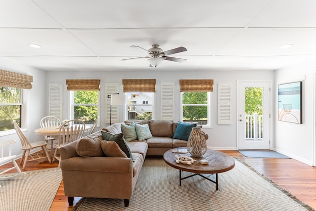 living room featuring ceiling fan and light hardwood / wood-style floors