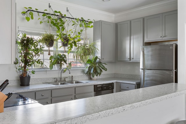 kitchen featuring gray cabinets, ornamental molding, sink, and stainless steel appliances