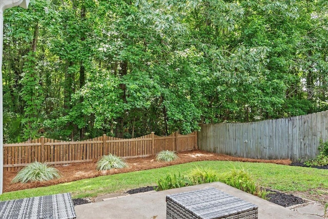 3486 Ashwycke St, Mount Pleasant, SC 29466 - fenced backyard featuring a patio area