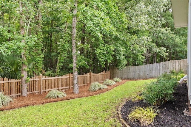 3486 Ashwycke St, Mount Pleasant, SC 29466 - view of fenced backyard