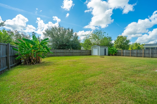 view of yard with a storage unit