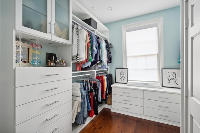 walk in closet with dark hardwood / wood-style flooring