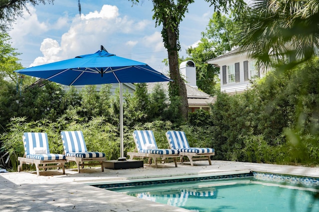 view of pool featuring a patio area