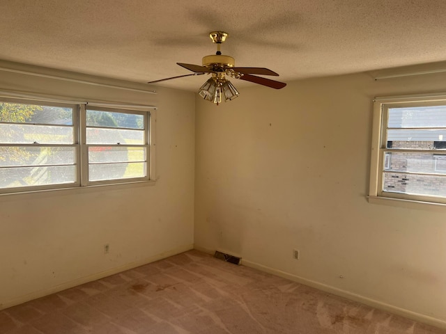 spare room with light colored carpet, a healthy amount of sunlight, and a textured ceiling