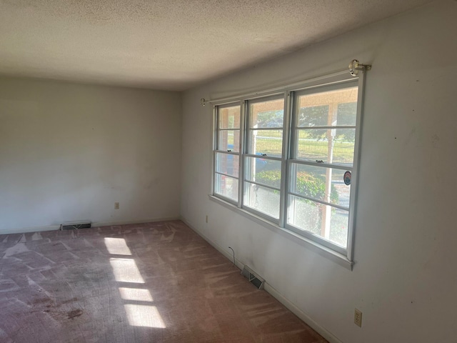 spare room featuring carpet flooring and a textured ceiling