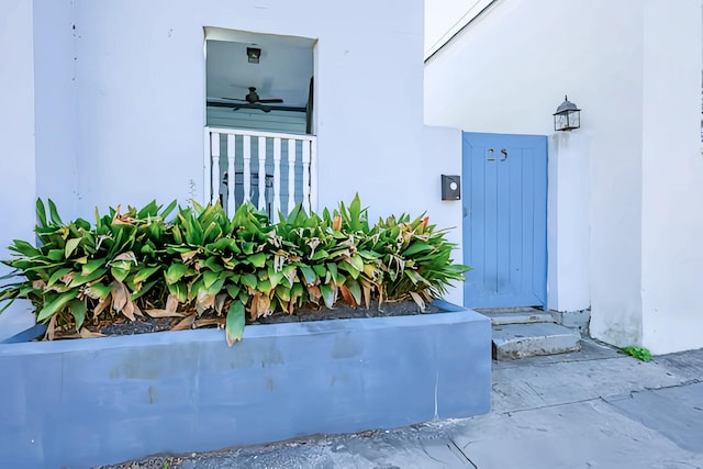 doorway to property with ceiling fan