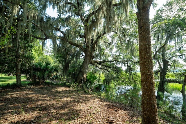 Listing photo 3 for 8467 Middleton Point Ln, Edisto Island SC 29438