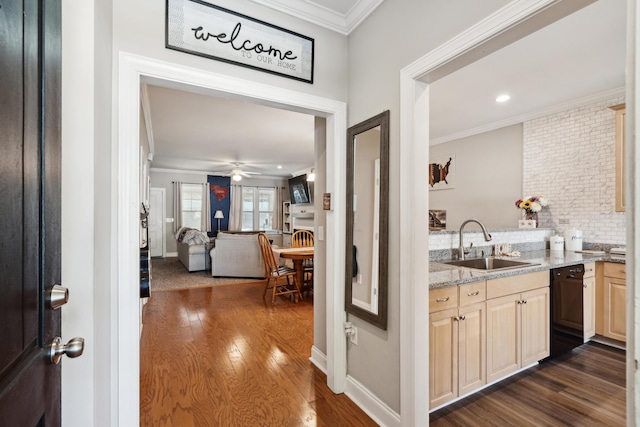 5511 Colonial Chatsworth Cir N, Charleston, SC 29418 - interior space with dishwasher, ornamental molding, dark wood-style flooring, ceiling fan, and decorative backsplash