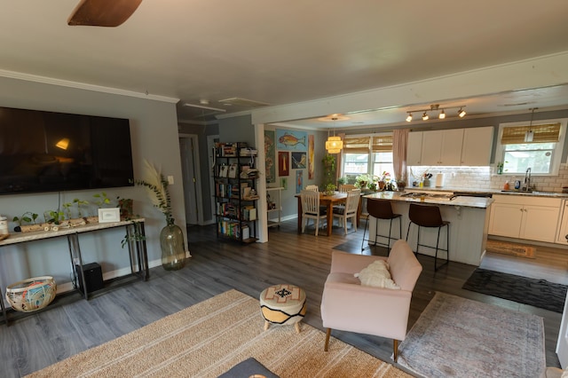 716 White Oak Dr, Charleston, SC 29407 - living room featuring dark wood-style flooring, baseboards, and ornamental molding