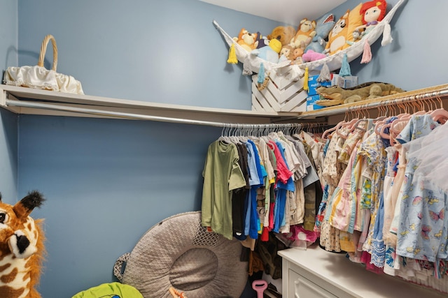1166 Julian Clark Rd, Charleston, SC 29412 - view of spacious closet