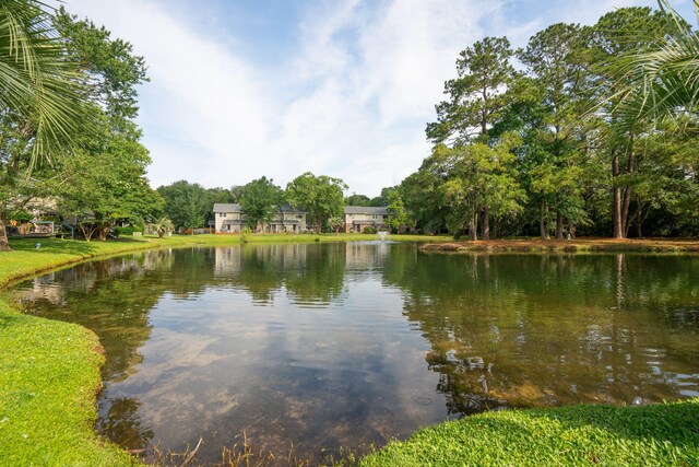 1166 Julian Clark Rd, Charleston, SC 29412 - water view