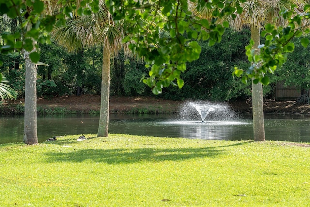 1166 Julian Clark Rd, Charleston, SC 29412 - water view