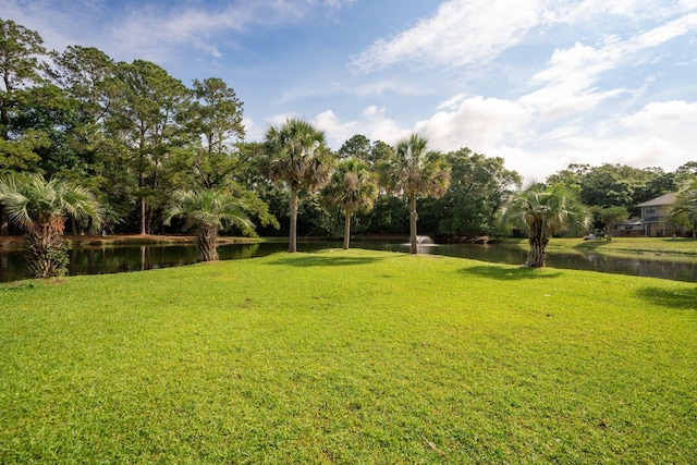 1166 Julian Clark Rd, Charleston, SC 29412 - view of green lawn featuring a water view and view of scattered trees
