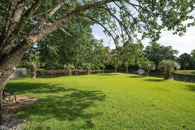 1166 Julian Clark Rd, Charleston, SC 29412 - view of green lawn featuring a water view