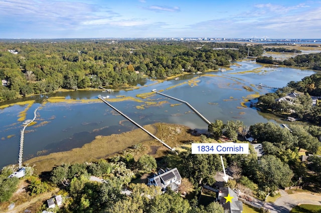 1834 Cornish Ave, Charleston, SC 29412 - aerial view featuring a view of trees and a water view