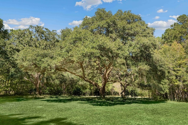 view of yard with a wooded view