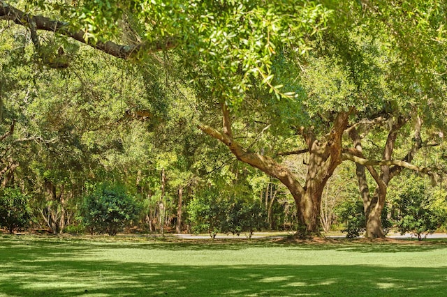 view of home's community featuring a yard