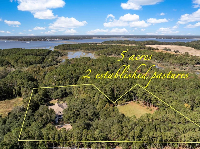 bird's eye view featuring a water view and a view of trees