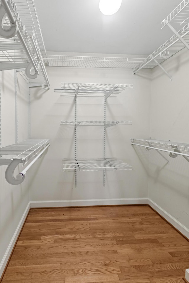 walk in closet featuring light wood-style floors