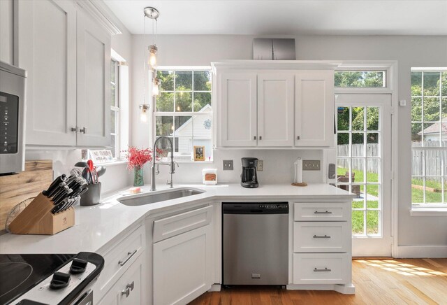 kitchen featuring sink, plenty of natural light, light hardwood / wood-style floors, and dishwasher