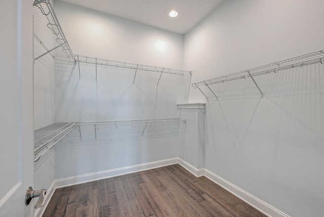 walk in closet featuring hardwood / wood-style floors