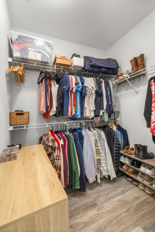 spacious closet featuring hardwood / wood-style flooring