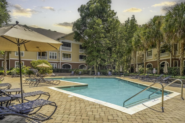 view of pool featuring a patio