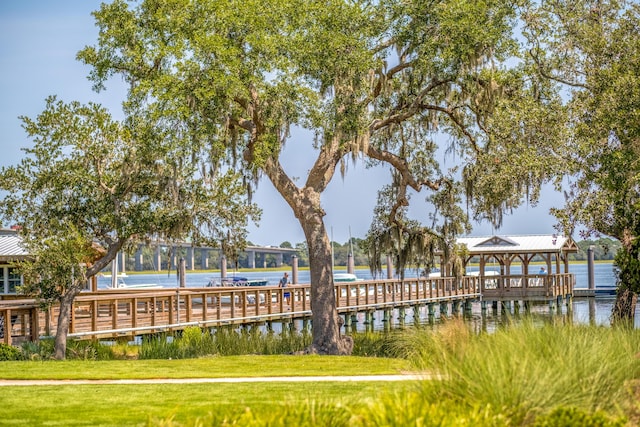 dock area with a water view