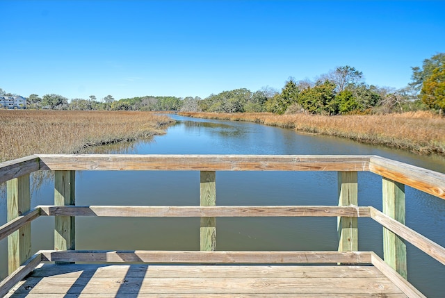 dock area with a water view