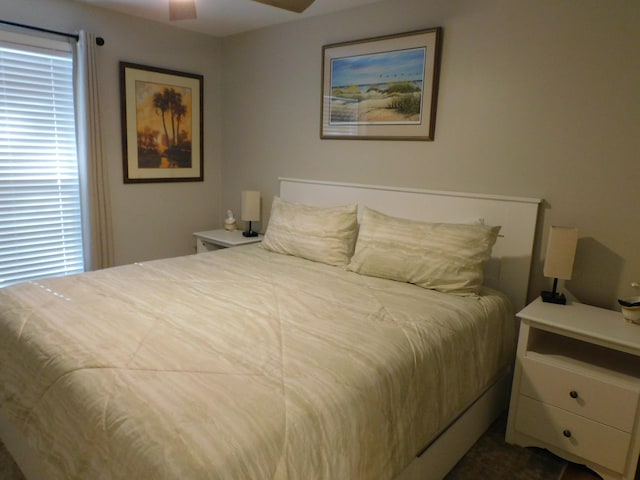 bedroom with ceiling fan