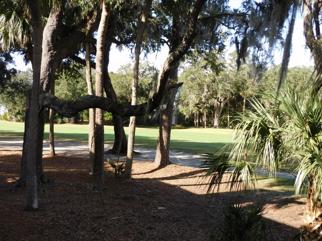 view of property's community featuring a yard