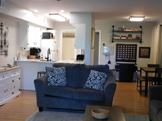 living room featuring light hardwood / wood-style flooring and sink