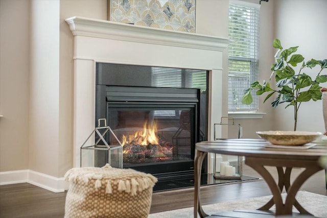 221 Lucca Dr, Summerville, SC 29486 - interior details featuring baseboards, wood finished floors, and a glass covered fireplace