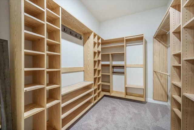 221 Lucca Dr, Summerville, SC 29486 - walk in closet with carpet flooring
