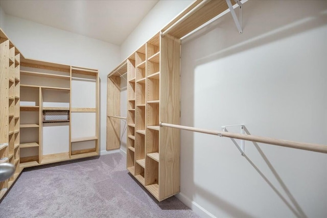 221 Lucca Dr, Summerville, SC 29486 - walk in closet featuring carpet floors