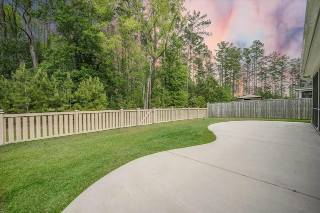221 Lucca Dr, Summerville, SC 29486 - view of yard with a fenced backyard and a patio