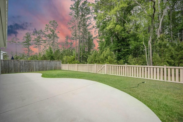 221 Lucca Dr, Summerville, SC 29486 - view of patio / terrace featuring a fenced backyard