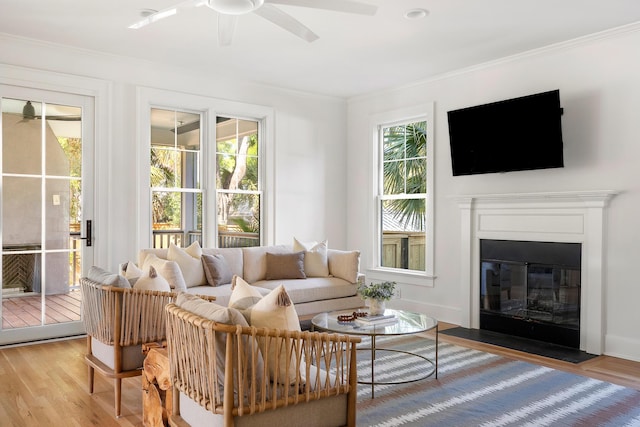 517 Royall Ave, Mount Pleasant, SC 29464 - living area featuring ceiling fan, plenty of natural light, wood finished floors, and ornamental molding