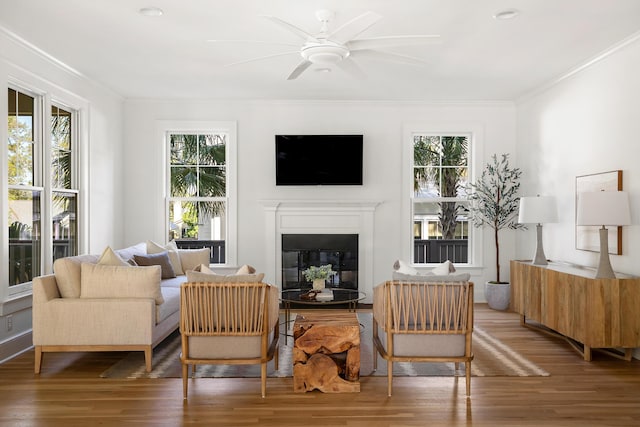 517 Royall Ave, Mount Pleasant, SC 29464 - living room with wood finished floors, a glass covered fireplace, ornamental molding, and a ceiling fan