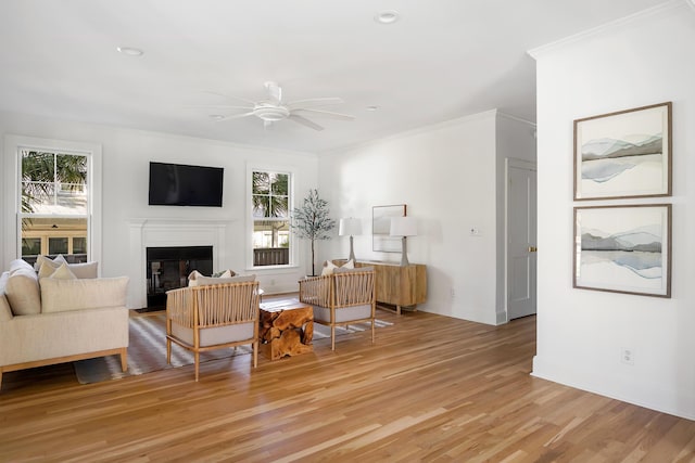 517 Royall Ave, Mount Pleasant, SC 29464 - living room with ceiling fan, light wood-style floors, crown molding, a glass covered fireplace, and baseboards