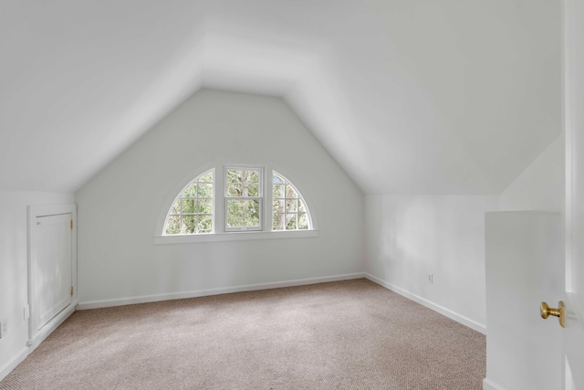 additional living space with light carpet and lofted ceiling