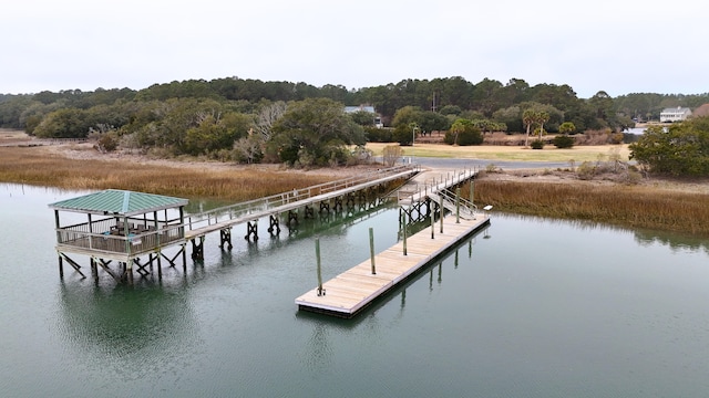 dock area with a water view