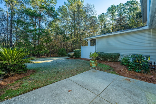 view of yard featuring a patio