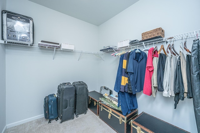 walk in closet with carpet floors