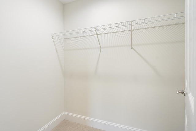 walk in closet featuring carpet flooring