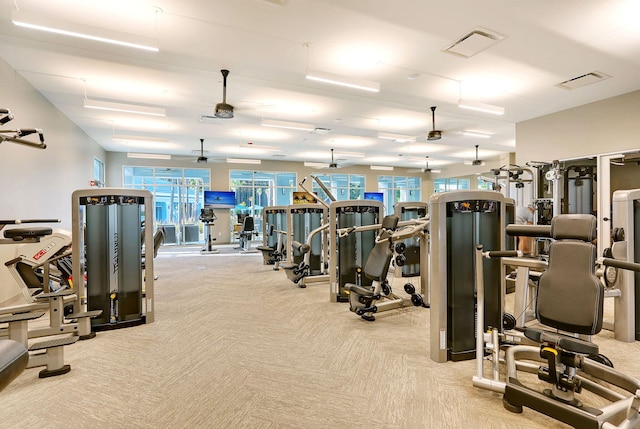 workout area featuring ceiling fan and light carpet