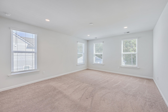 empty room featuring light colored carpet and a wealth of natural light